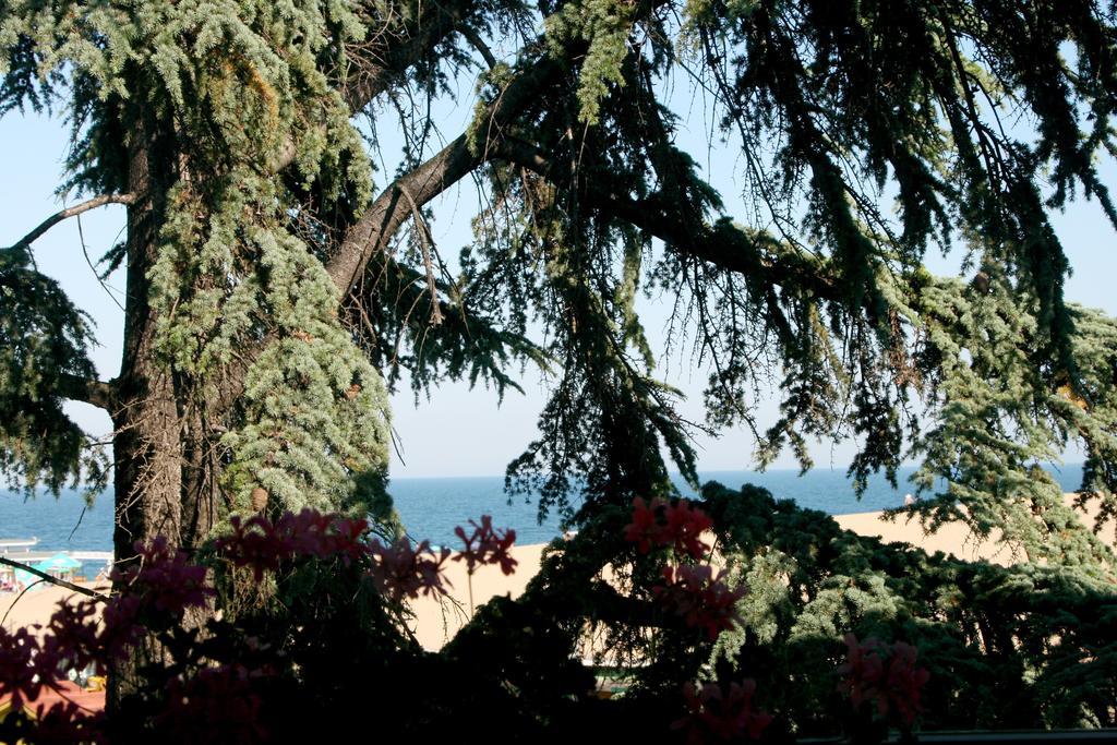 Elizabeth Dy Boutique Hotel Nesebar Exterior photo